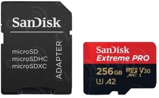 Карта памяти для телефона Sandisk, SDSQXCD-256G-GN6MA цена и информация | Карты памяти для телефонов | pigu.lt