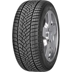 GOODYEAR ULTRAGRIP PERFORMANCE + 255/50R19 107T XL цена и информация | Зимняя резина | pigu.lt