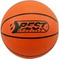 Krepšinio lankas Best Sporting su tinkleliu, kamuoliu ir pompa kaina ir informacija | Kitos krepšinio prekės | pigu.lt