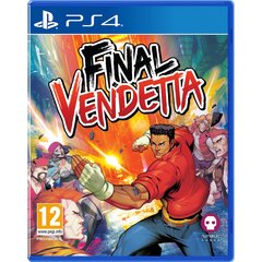 PS4 Final Vendetta - Collector's Edition kaina ir informacija | Kompiuteriniai žaidimai | pigu.lt