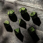 Kauliukų rinkinys Celtic 3D Revised juodos ir žalios spalvos kaina ir informacija | Stalo žaidimai, galvosūkiai | pigu.lt