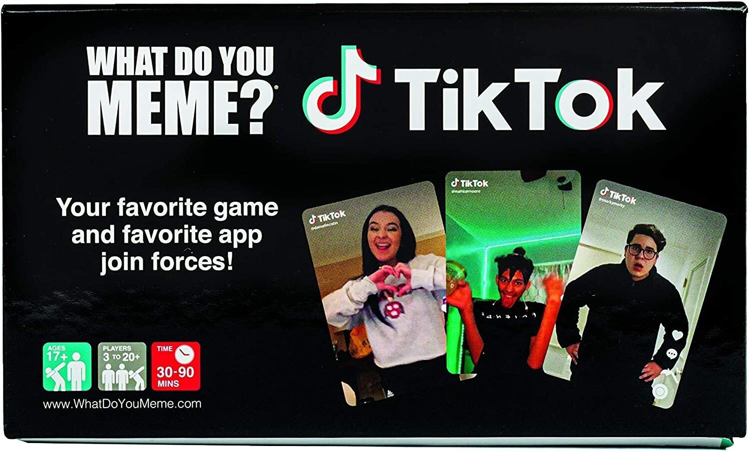 Stalo žaidimas What Do You Meme?: TikTok Edition, ENG kaina ir informacija | Stalo žaidimai, galvosūkiai | pigu.lt