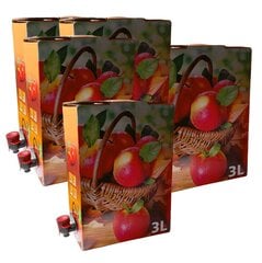Bag-in-box 3l, maišo kranui ant kampo, dėžutė - 100vnt цена и информация | Посуда и принадлежности для консервирования | pigu.lt