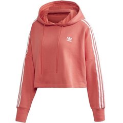 Džemperis moterims Adidas Originals Croped Hood FM3274, rožinis kaina ir informacija | Džemperiai moterims | pigu.lt