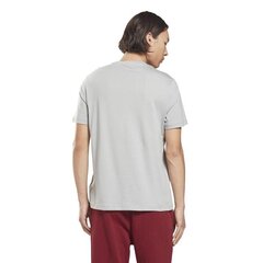 Marškinėliai vyrams Reebok hi0594, pilki kaina ir informacija | Vyriški marškinėliai | pigu.lt