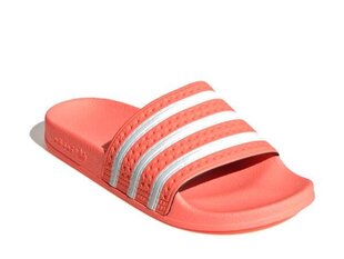 Paplūdimio šlepetės moterims Adidas Originals Adilette eg5008 kaina ir informacija | Šlepetės moterims | pigu.lt