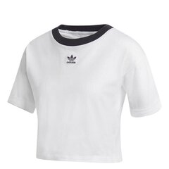 T-SHIRT ADIDAS ORIGINALS CROP TOP GD2359 цена и информация | Женские футболки | pigu.lt