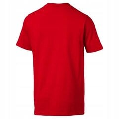 Marškinėliai vyrams Puma 57782801, raudoni kaina ir informacija | Vyriški marškinėliai | pigu.lt