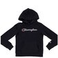 Džemperis champion rochester hooded sweatshirt 404225kk001 kaina ir informacija | Megztiniai, bluzonai, švarkai berniukams | pigu.lt