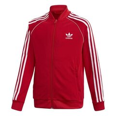 Džemperis adidas originals sst tracktop gd2676 kaina ir informacija | Megztiniai, bluzonai, švarkai mergaitėms | pigu.lt