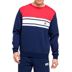 HOODIE FILA BETTOLLE CREW NECK FAM007253010 цена и информация | Мужские толстовки | pigu.lt