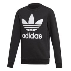 HOODIE ADIDAS ORIGINALS TREFOIL CREW ED7797 цена и информация | Свитеры, жилетки, пиджаки для мальчиков | pigu.lt