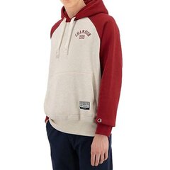 HOODIE CHAMPION ROCHESTER HOODED SWEATSHIRT 216571EM005 цена и информация | Мужские толстовки | pigu.lt