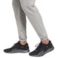 Sportinės kelnės vyrams Reebok ri ft jogger gj0633 цена и информация | Sportinė apranga vyrams | pigu.lt