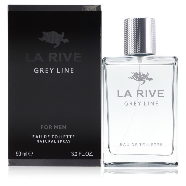 Tualetinis vanduo La Rive Grey Line EDT vyrams 90 ml kaina ir informacija | Kvepalai vyrams | pigu.lt