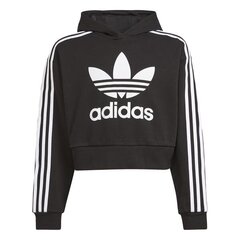 HOODIE ADIDAS ORIGINALS CROPPED HOODIE H32337 цена и информация | Свитеры, жилетки, пиджаки для мальчиков | pigu.lt