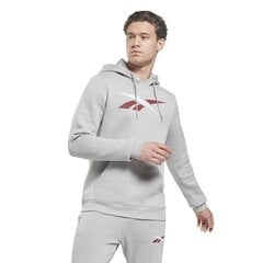 HOODIE REEBOK TE VECTOR OTH HOODIE HI0591 цена и информация | Мужские толстовки | pigu.lt