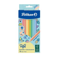 Карандаши цветные Pelikan SOFT - пастельные, шестигранные, 12 цветов цена и информация | Принадлежности для рисования, лепки | pigu.lt