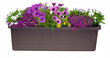 Triguba dėžė augalams 54 L, Berberis Trio, automatinis laistymas, 117 cm, ruda цена и информация | Loveliai | pigu.lt