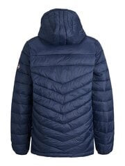 Jack & Jones детская куртка 100г. 12212568*03, тёмно-синий цена и информация | Куртки для мальчиков | pigu.lt