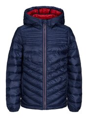 Jack & Jones детская куртка 100г. 12212568*03, тёмно-синий цена и информация | Куртка для мальчика | pigu.lt