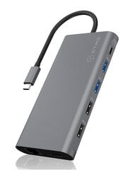 Adapteris Raidsonic 12-in-1 USB-C kaina ir informacija | Adapteriai, USB šakotuvai | pigu.lt