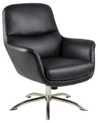 Кресло Actona Dalby, черное цена и информация | Кресла в гостиную | pigu.lt