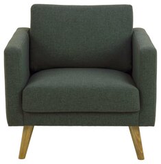 Кресло Actona Stella, зеленый цвет цена и информация | Кресла в гостиную | pigu.lt