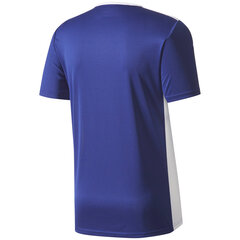 Vaikiški marškinėliai adidas Entrada 18 Jersey JUNIOR CF1036/CF1047, mėlyna kaina ir informacija | Futbolo apranga ir kitos prekės | pigu.lt