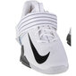 Sportiniai batai vyrams Nike, balti kaina ir informacija | Kedai vyrams | pigu.lt