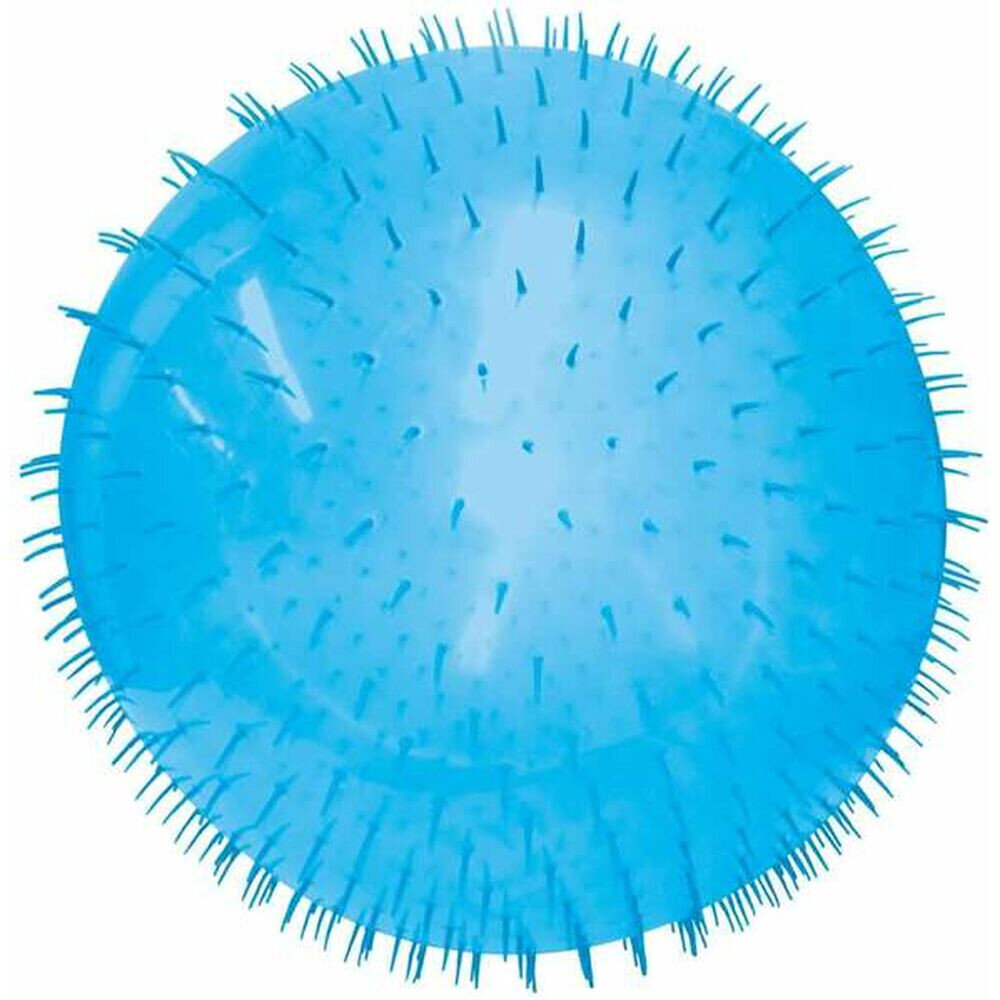 Kamuolys Bizak Wacky Wubble, 60 cm kaina ir informacija | Vandens, smėlio ir paplūdimio žaislai | pigu.lt