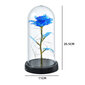 Rožė kupole su LED apšvietimu kaina ir informacija | Kitos originalios dovanos | pigu.lt