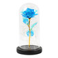 Rožė kupole su LED apšvietimu kaina ir informacija | Kitos originalios dovanos | pigu.lt