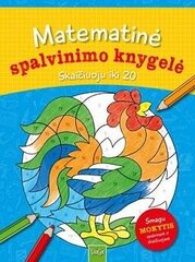 Matematinė spalvinimo knygelė. Skaičiuoju iki 20 kaina ir informacija | Lavinamosios knygos | pigu.lt