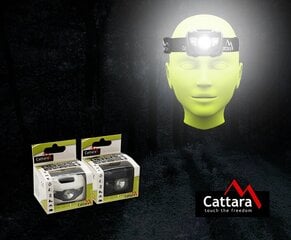 Cattara LED žibintuvėlis ant galvos цена и информация | Фонарики, прожекторы | pigu.lt