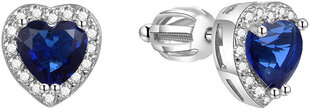 Длинные серебряные серьги с жемчугом Beneto AGUV1980P цена и информация | Серьги | pigu.lt