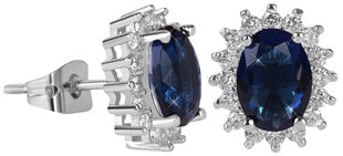Blizgantys auskarai su mėlynais kristalais Troli kaina ir informacija | Auskarai | pigu.lt