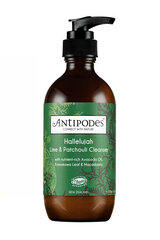 Veido prausiklis Antipodes Hallelujah Lime & Patchouli Cleanser, 200ml kaina ir informacija | Veido prausikliai, valikliai | pigu.lt