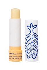 Бальзам для губ Shimmery Thyme Honey, 4.5 г цена и информация | Помады, бальзамы, блеск для губ | pigu.lt