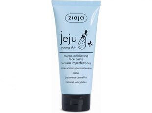 Veido šveitiklis Micro-Exfoliating Face Paste, 75 ml цена и информация | Средства для очищения лица | pigu.lt