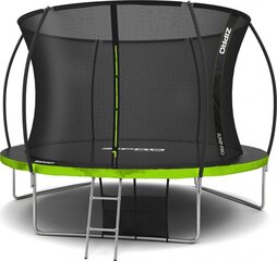 Prekė su pažeidimu.Batutas ZIPRO Jump Pro Premium 10FT, 312 cm, su vidiniu apsauginiu tinklu цена и информация | Батуты | pigu.lt