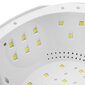 Activeshop UV/LED Professional 168W WHITE kaina ir informacija | Manikiūro, pedikiūro aparatai | pigu.lt