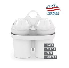 BWT DI-X-693772, 3 vnt. цена и информация | Фильтры для воды | pigu.lt