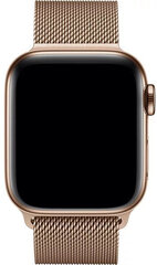 Сменный ремешок 4wrist Milan для Apple Watch — золото 38/40/41 мм цена и информация | Аксессуары для смарт-часов и браслетов | pigu.lt