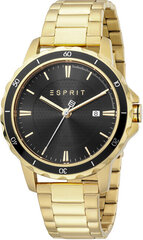 Часы мужские Esprit ES1G207M0075 цена и информация | Мужские часы | pigu.lt