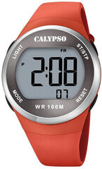 Calypso Цифровой для женщин 5785/1 цена и информация | Женские часы | pigu.lt