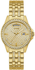 Часы Guess GW0254L2 цена и информация | Женские часы | pigu.lt