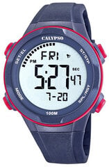 Laikrodis vyrams Calypso 5780/4 цена и информация | Мужские часы | pigu.lt