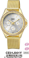 Laikrodis moterims Q&Q CE01J001Y kaina ir informacija | Moteriški laikrodžiai | pigu.lt