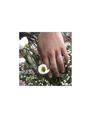 Sidabrinis žiedas moterims Beneto AGG167 kaina ir informacija | Žiedai | pigu.lt
